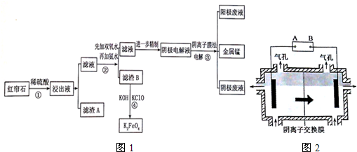 nte00020289.png