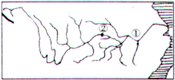jfb00001143.png