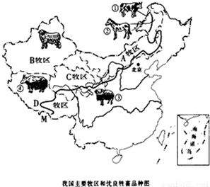 将四大牧区与牧场类型、著名畜种连线高寒牧场