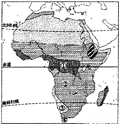 gch00005526.png