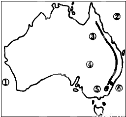 澳大利亚中部平原地区可以一年四季露天围栏放