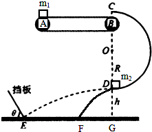 qan00013245.png