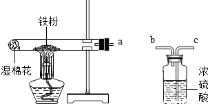 tkg00089788.png