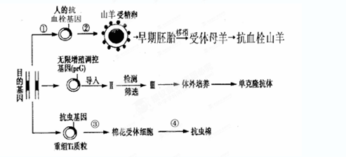 iat00001881.png