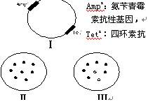 iat00036067.jpg