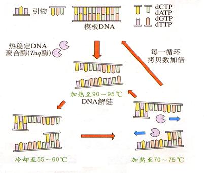 iat00044386.jpg