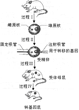 iat00046182.gif