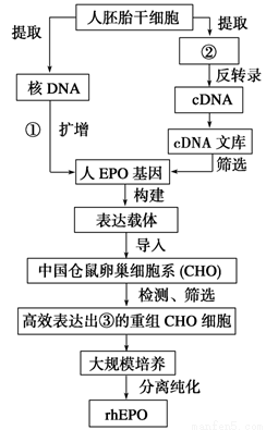 jvq00017634.png