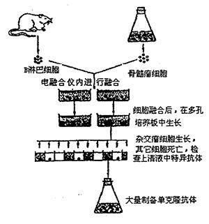 khe00012282.jpg