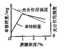 khe00046048.jpg