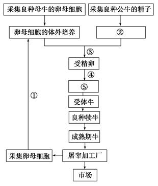 jvq00016363.jpg