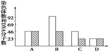 khe00038417.jpg