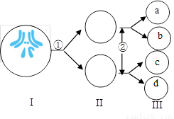 vcf00020725.png