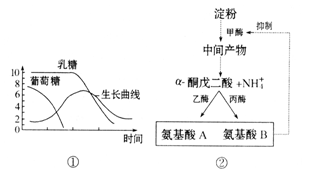 乳糖发酵实验的原理是什么_乳糖不耐受是什么意思
