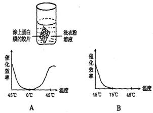 叠加原理不能用于什么叠加_不能说的秘密(3)