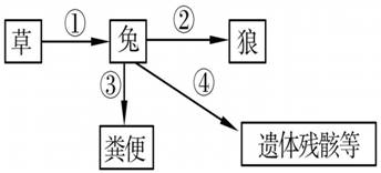 iat00004617.jpg
