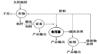 沉水pe线是什么原理_pe线是什么意思(3)