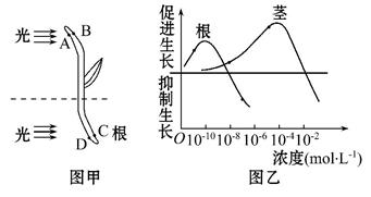 iat00000884.jpg