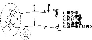 iat00001782.png