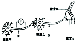 iat00003668.png