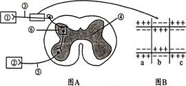 iat00009584.jpg