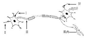 iat00019305.jpg