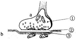 iat00019366.jpg