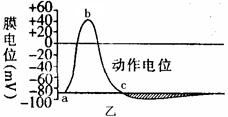 iat00024680.jpg
