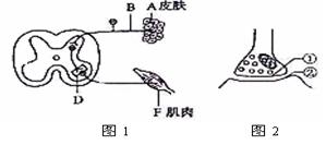 iat00044792.jpg