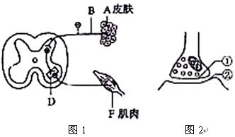 iat00045752.jpg