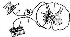 iat00047368.jpg