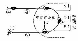 iat00047246.jpg
