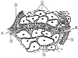 iat00036394.jpg