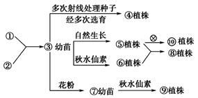 iat00018446.jpg