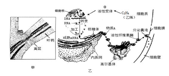 iat00003856.jpg