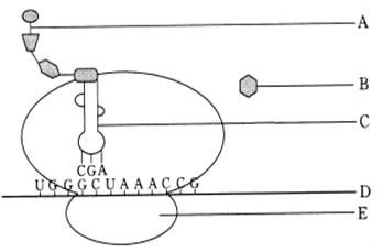 iat00007866.jpg