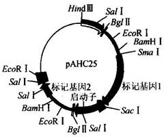 iat00016996.jpg