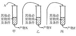 jvq00008514.jpg