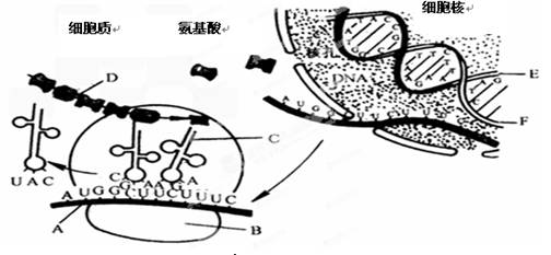 jvq00017213.jpg
