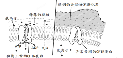 iat00009902.png