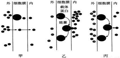 其中a和b为两种物质的运输方式,下列对细胞膜结构和功能的叙述正确的