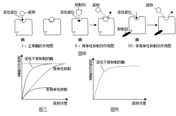 (16分)在生物化学反应中,当底物与酶的活性位点