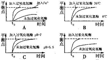 iat00047662.jpg