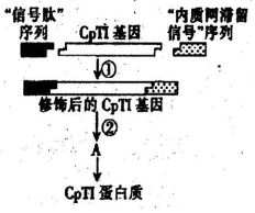 iat00025786.png