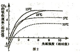 jvq00019547.jpg
