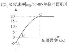 怎么才算高强度有氧 khe00049510.jpg