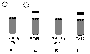 vcf00027974.png