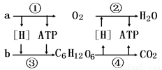 vcf00028460.png