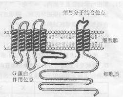 iat00002989.jpg