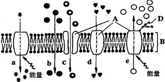 iat00020581.jpg